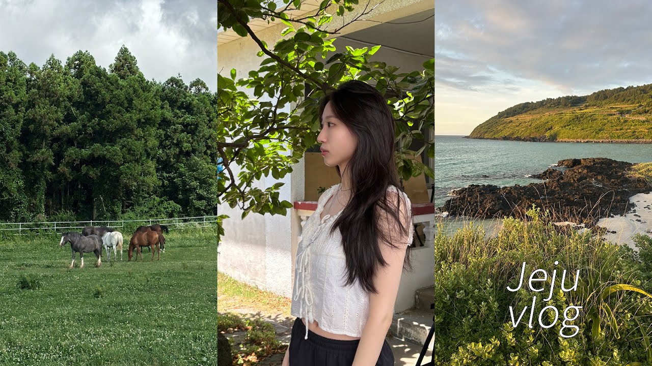 호롤롤롤ㄹ롤로 제주여행 🐟🐴🌳 제주서쪽 | 유동룡미술관 | 성이시돌목장 | 함덕해수욕장 | 고등어회