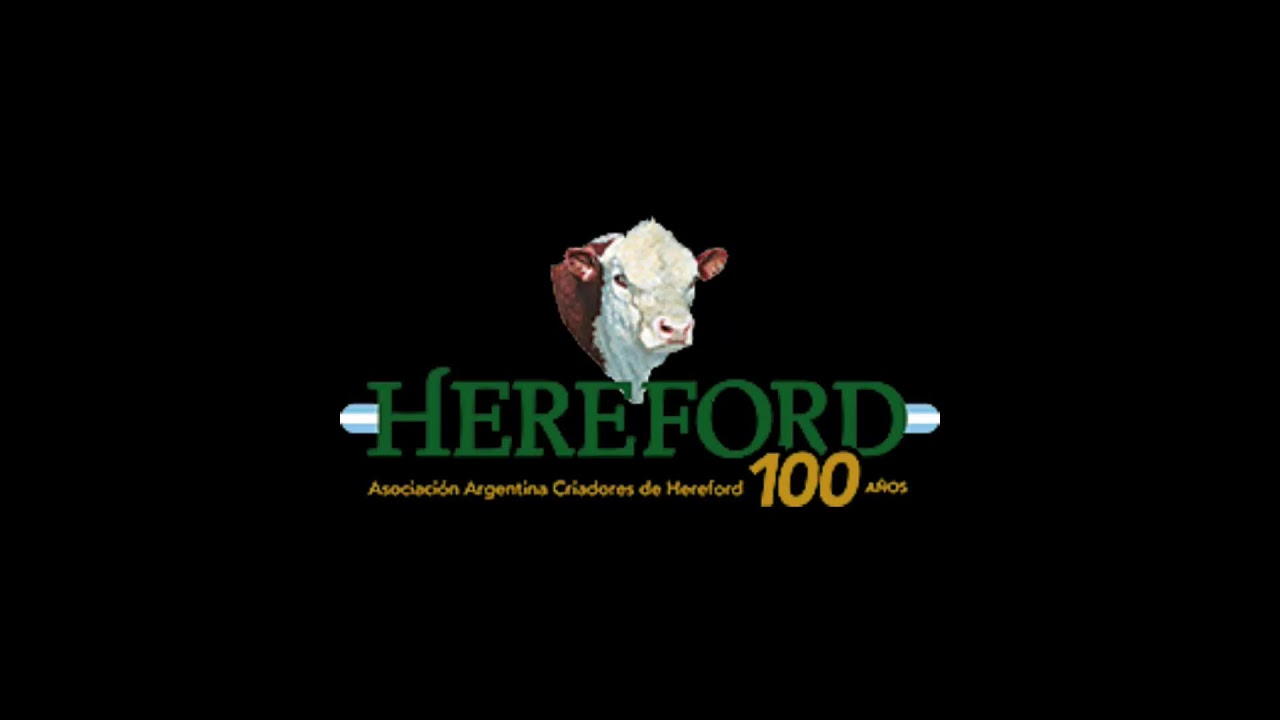31-05-24  -  HEREFORD TANDIL