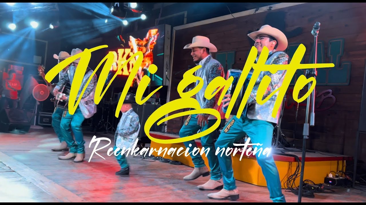 MI GALLITO - Leo el bailador y Grupo la Reenka