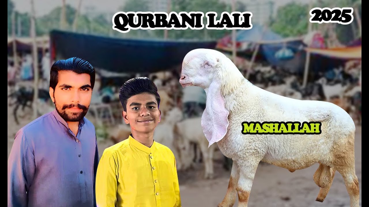 Alhamdullilah Bhai Na Qurbani Ka Janwer La Liya || Ahmadfuntasticvlogs
