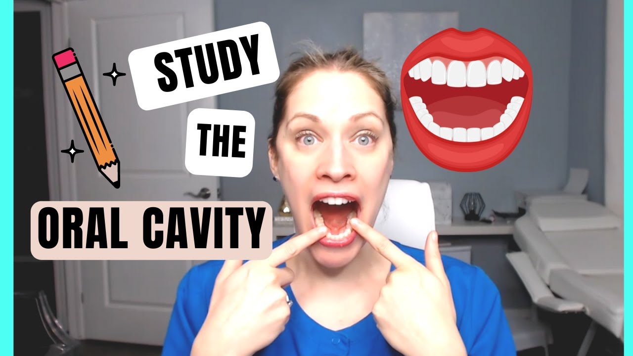 Study Oral Cavity Basics with Me | For Dental Hygiene and Assisting Students