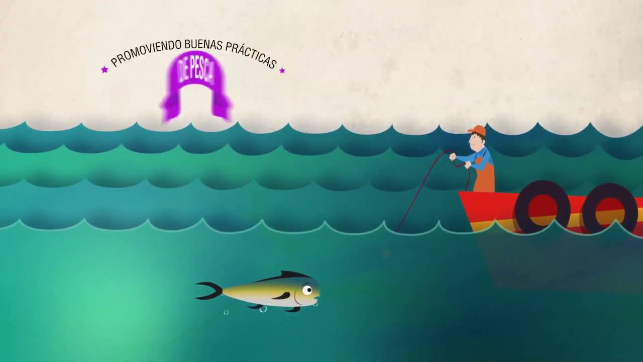 Video Pesca Responsable para Cines