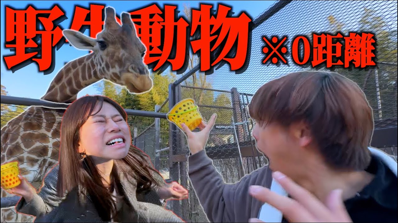 ガチ怖な野生動物放し飼いの動物園で2人の絆で乗り切ろうとしたら土壇場で片方が逃げ出して人間の腹黒さが現れる事態にwwww
