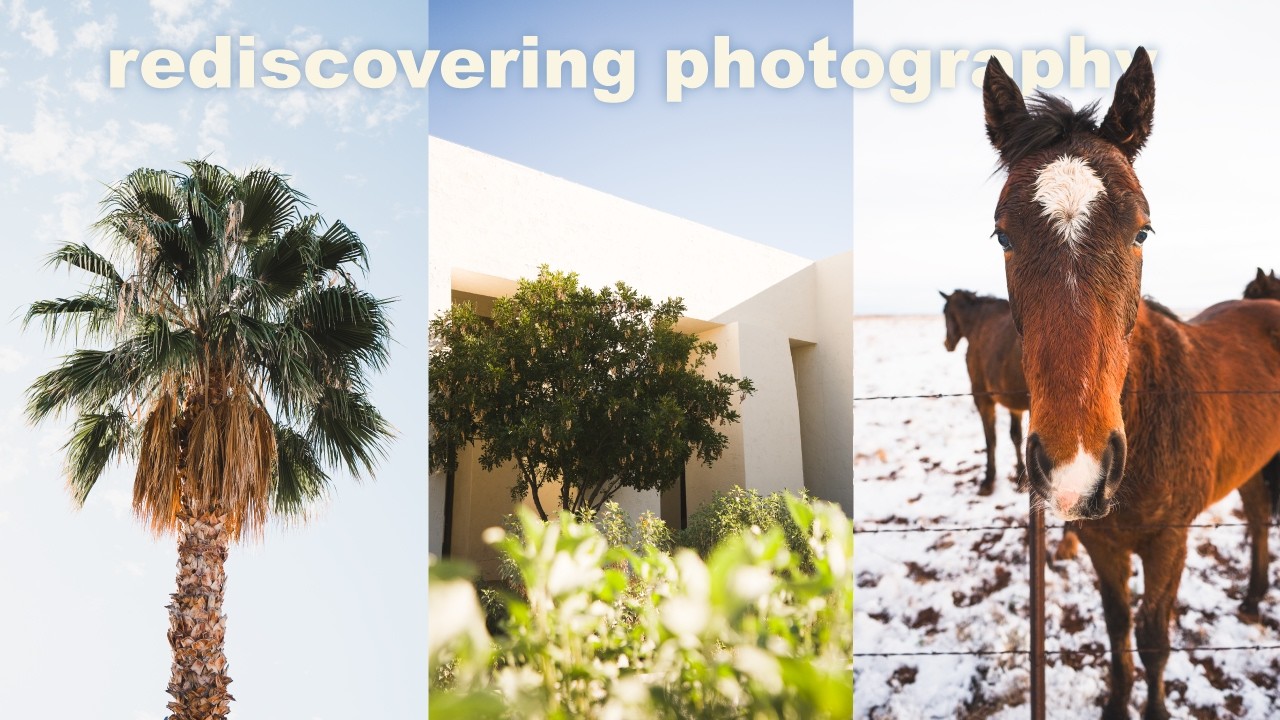 Rediscovering Photography