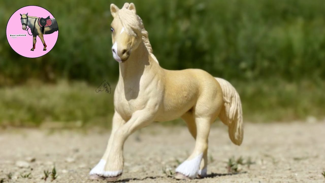 Tuto Custom - Comment réalisé un Palomino