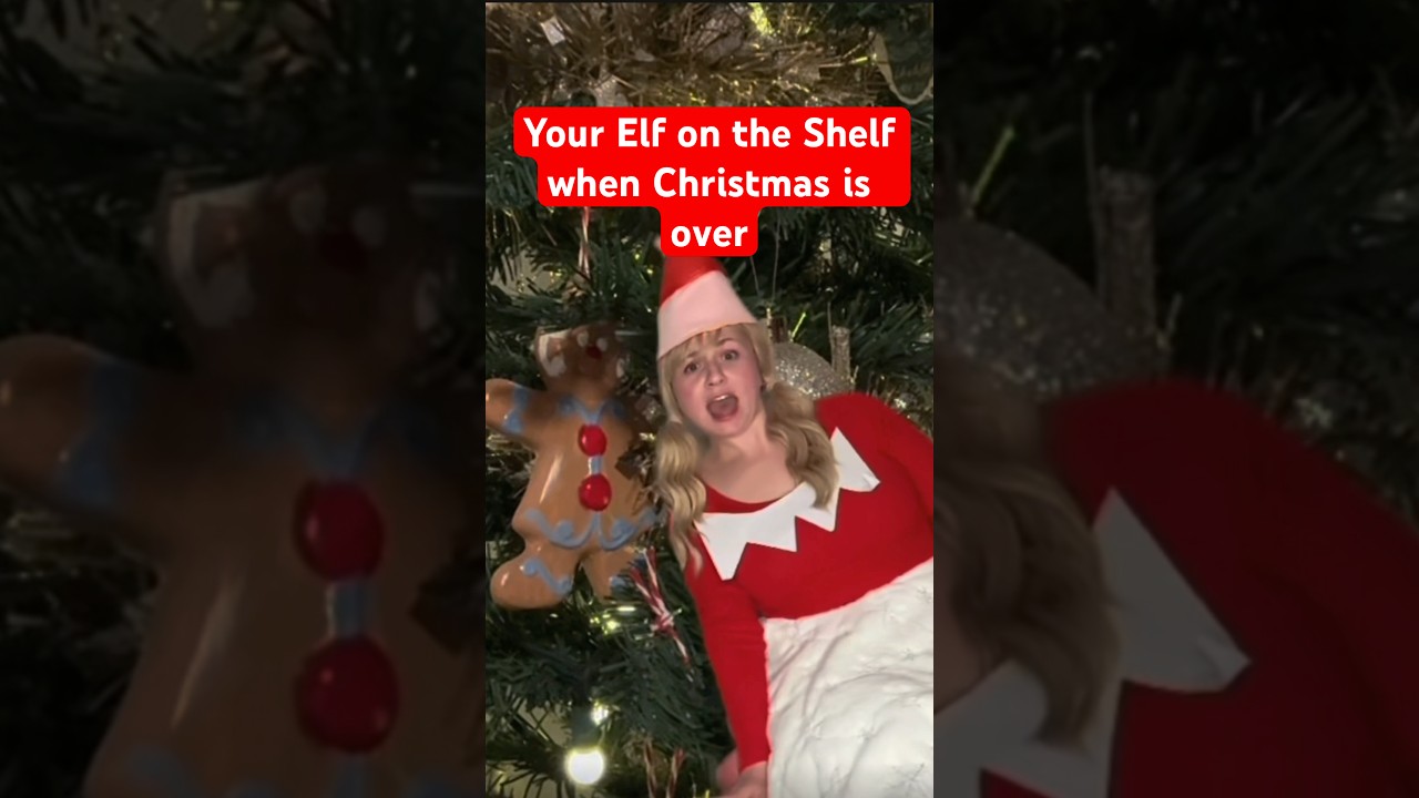 Your Elf on the Shelf when Christmas is over 