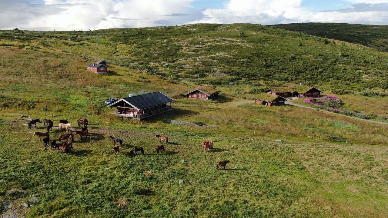 Hallingdal Fjellridning