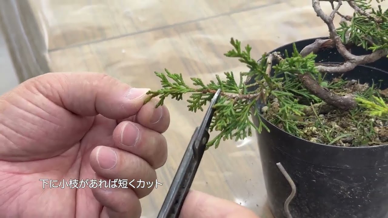 籠宮さんの針金かけ（巻きつけるまで）／Mr. Kagomiya's wire hook (up to halfway)