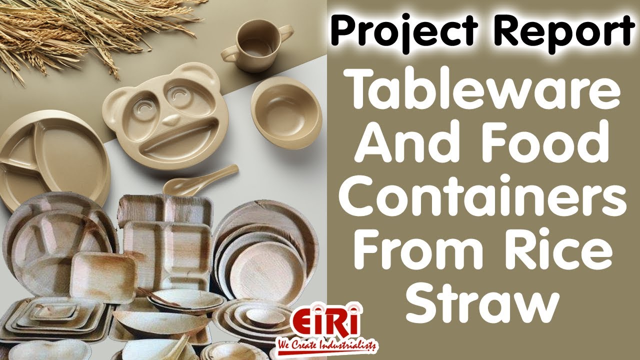 Project Report on Tableware And Food Containers From Rice Straw