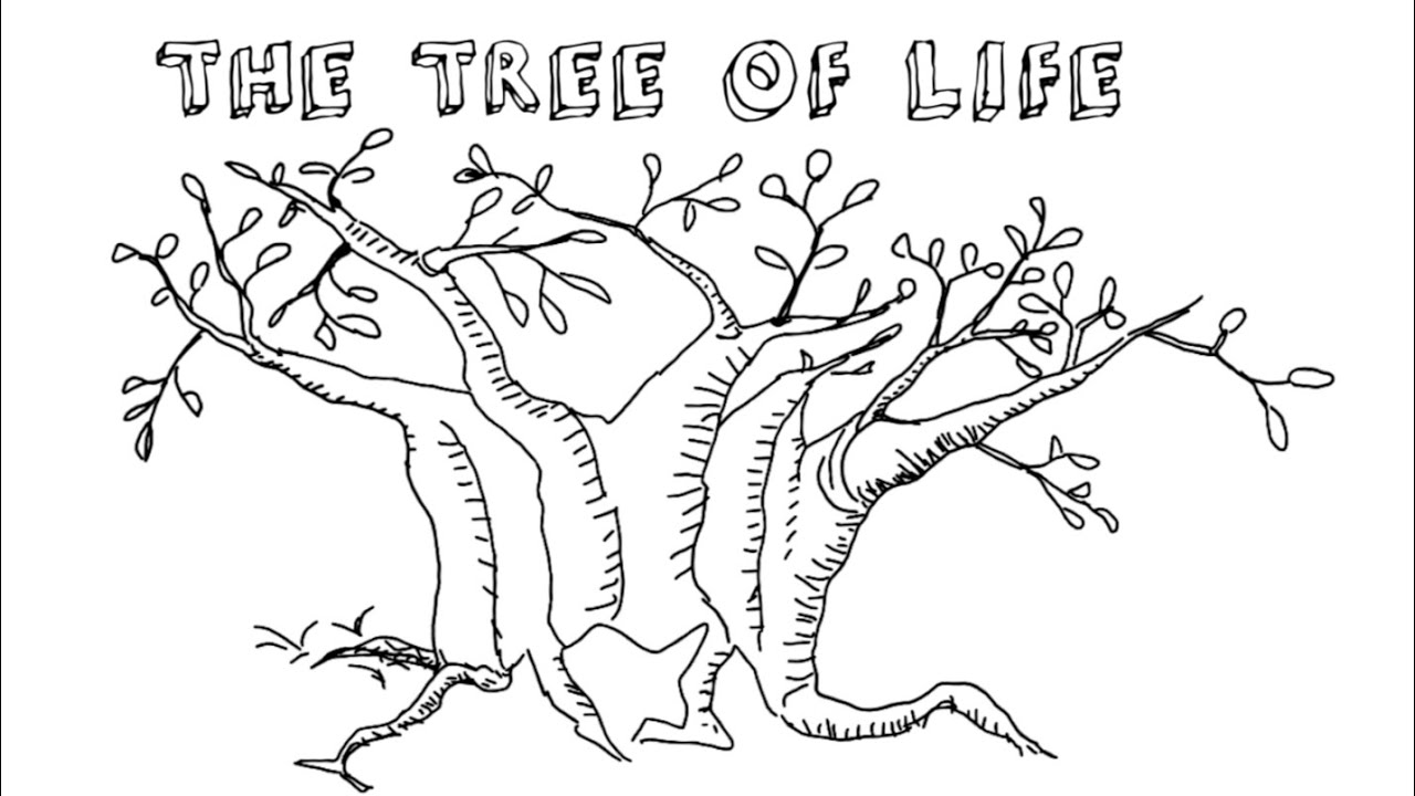 Discovering the tree of life | California Academy of Sciences
