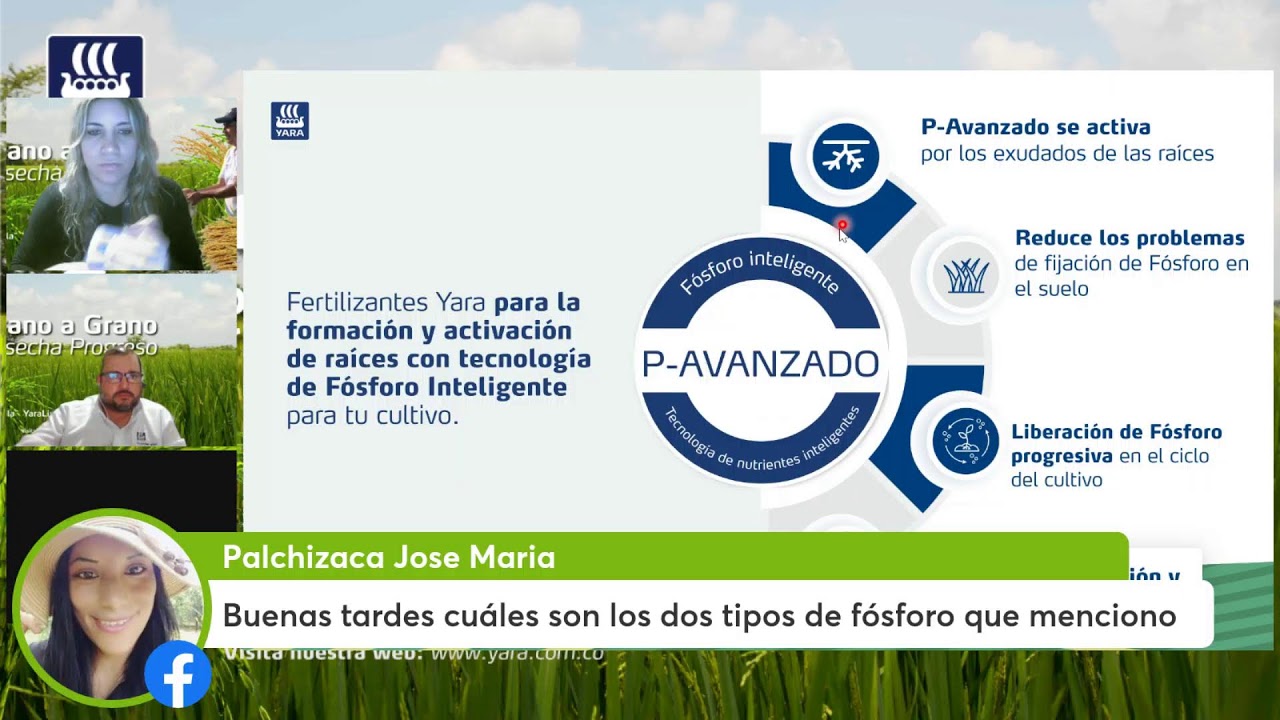 Nutrición adecuada para cultivo de arroz en factores de estrés para los Maestros del Campo