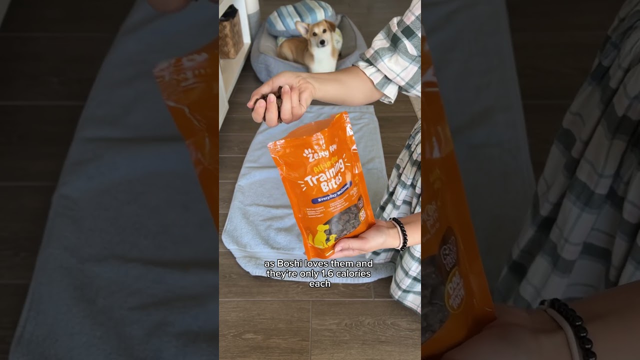 Super easy dog enrichment activity with Zesty Paws Training Bites! #dogenrichment #dogtreats #corgi