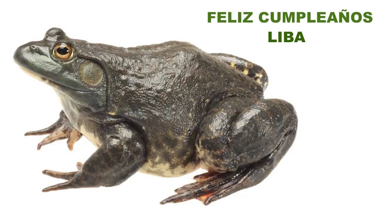 Liba   Animals & Animales - Happy Birthday