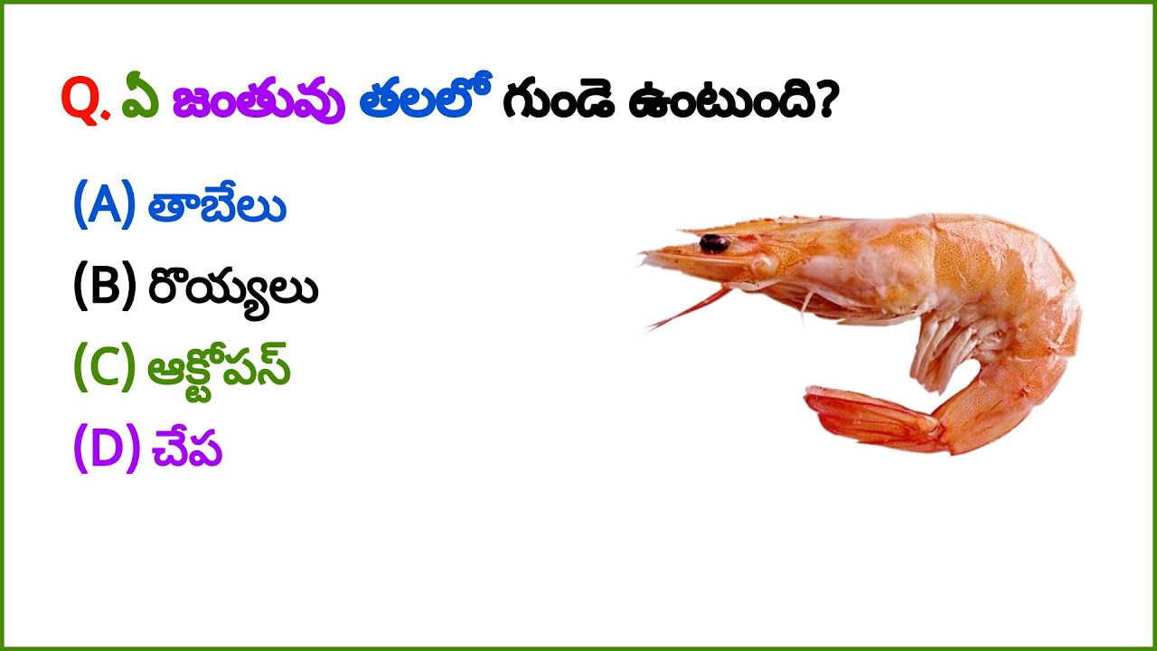 GK Questions || GK In Tamil || Pothu Arivu || GK Quiz || Mukkiyamaana Kelvigal