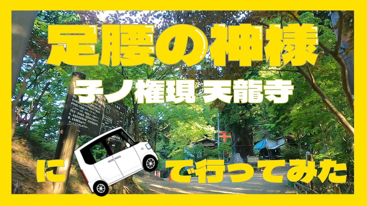 足腰の神様 「子ノ権現 天龍寺」に車で行ってみた　　埼玉県飯能市