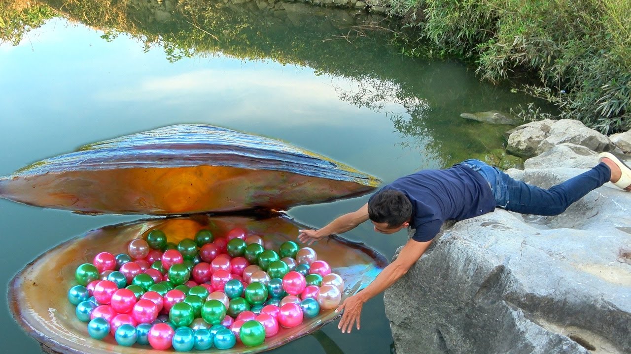 The flowing river pearls are beautiful, and the belly of each pearl clam is bulging