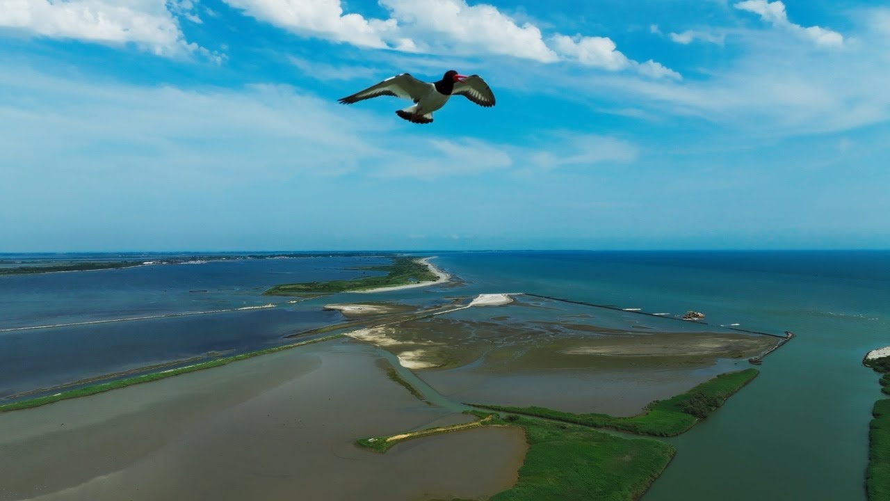 Volo sul Delta del Po - Parte 5°