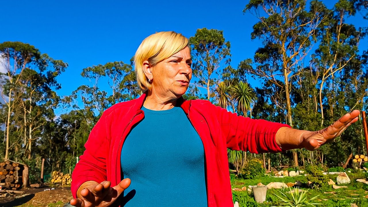 Preparando o Presépio no Jardim - A Magia Já Começou! ✨