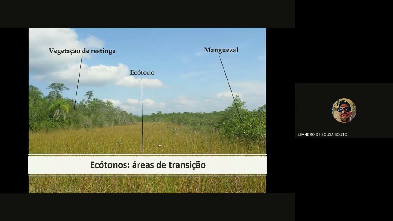Aula: Estrutura de comunidades