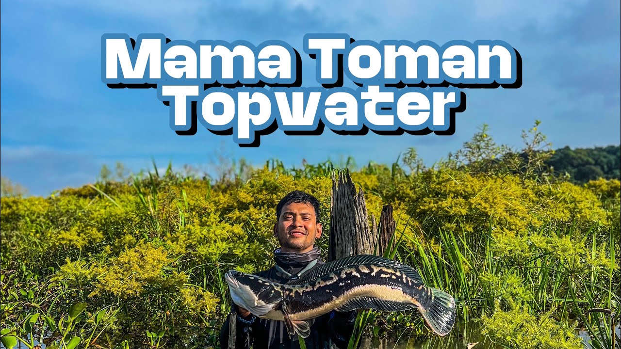 EP 9 🎣 | STRIKE MAMA TOMAN TOPWATER! 