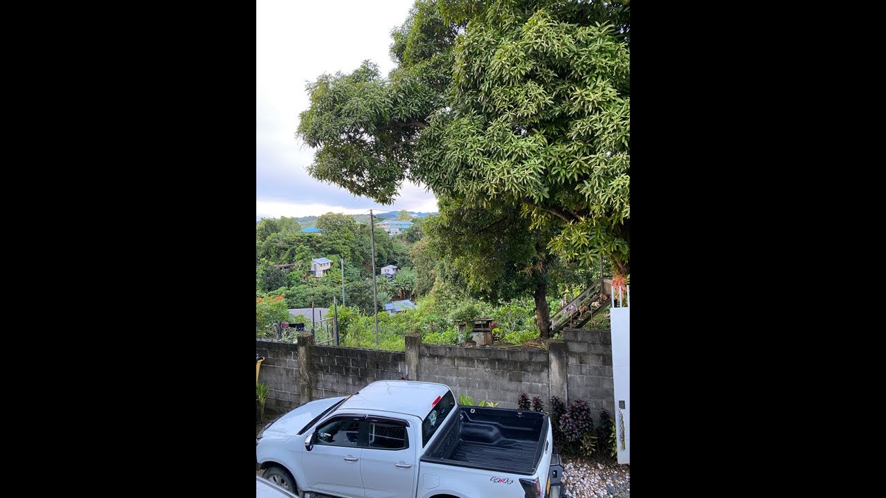 CENTRAL HONIARA SOLOMON ISLANDS MORNING LIVESTREAM #livestream