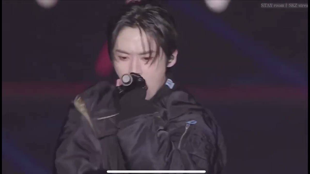 Stray kids / GET LIT 2024