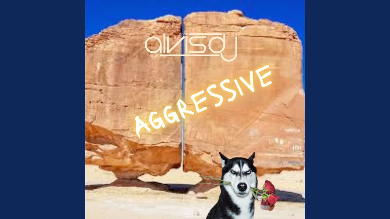 Aggressive
