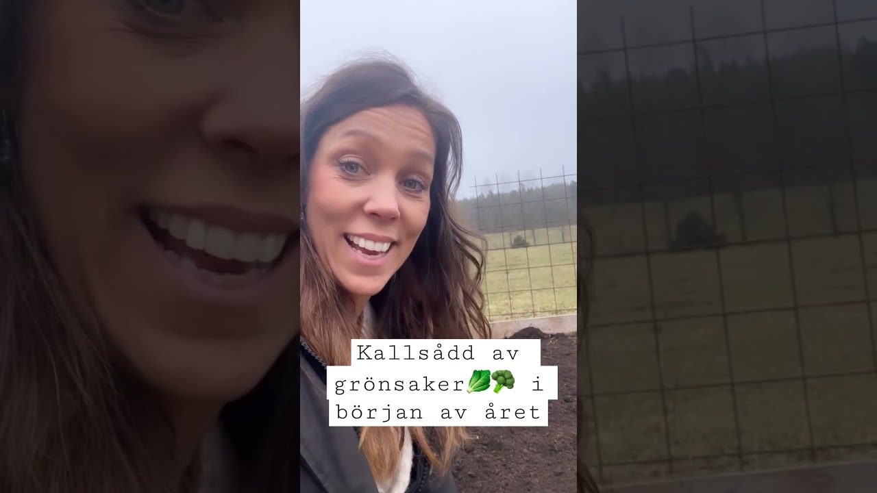Kalls&aring;dd av gr&ouml;nsaker 2023