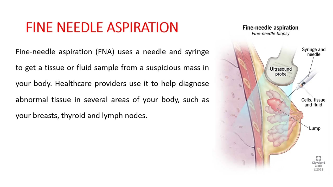 INTEGUMENTARY SYSTEM GUIDELINES PART 1 TAMIL