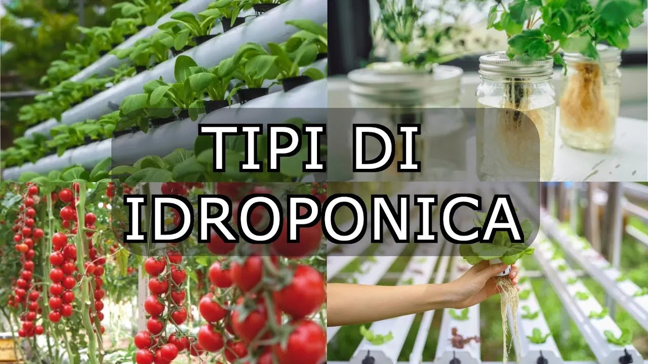 Tipi di coltivazione idroponica
