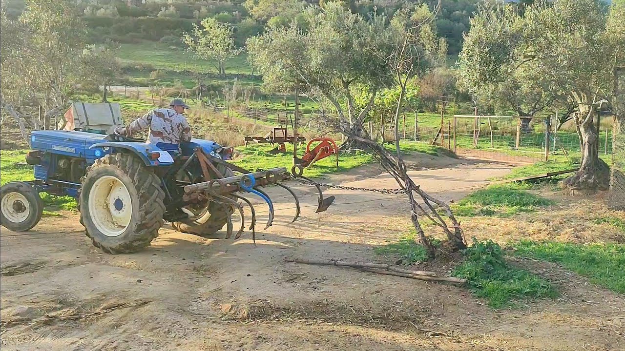 Voy a arar la huerta y a arrancar un manzano viejo