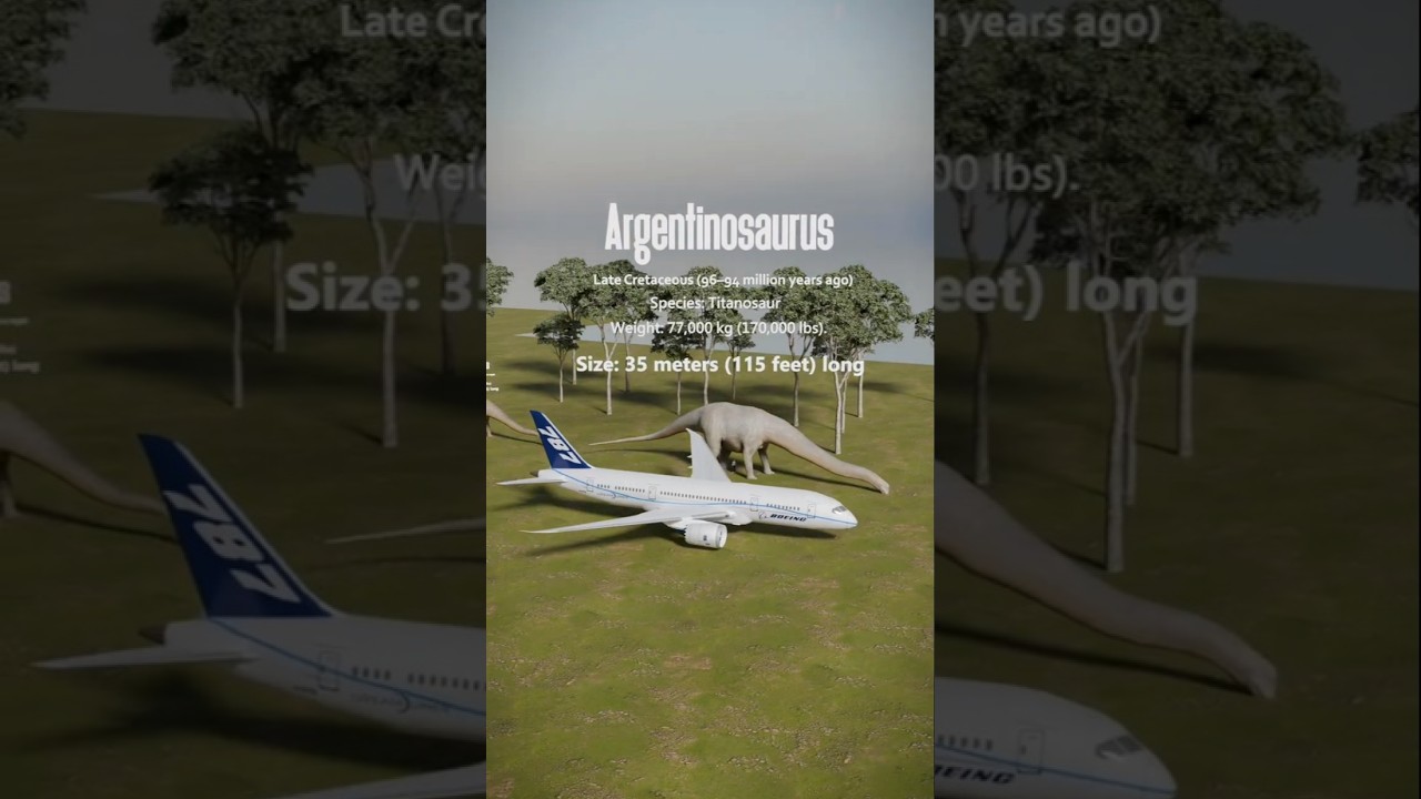 Dinosaur Size Comparison   #dinosaurs #prehistoric #trex #shorts #short #animals #3d #jurassicworld