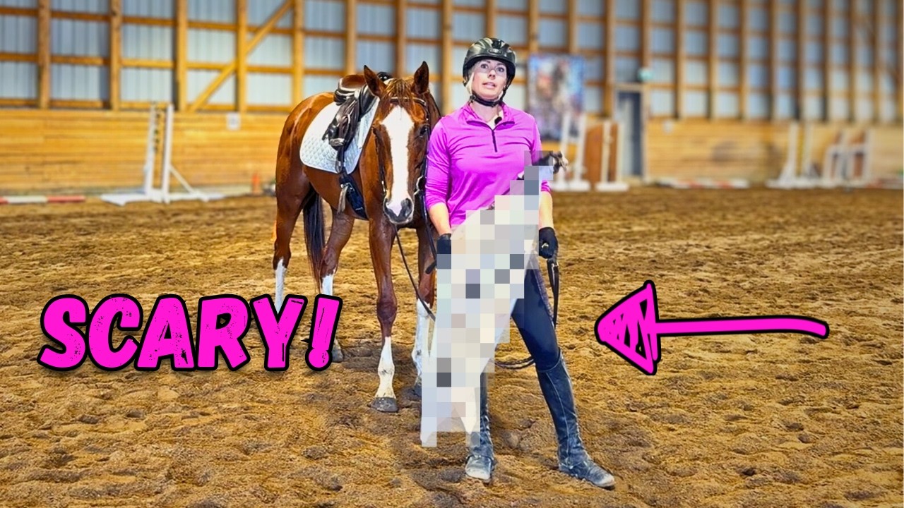 Fix Spooking: Get Your Horse to Go To the Problem, Not Run From It
