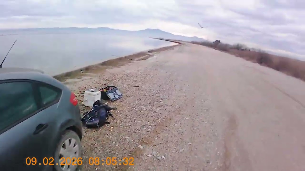 33. Ψάρια Φαντάσματα. (Ντούο Χάλια εναντίον ΑΙ. Τραγούδια των ψαράδων)