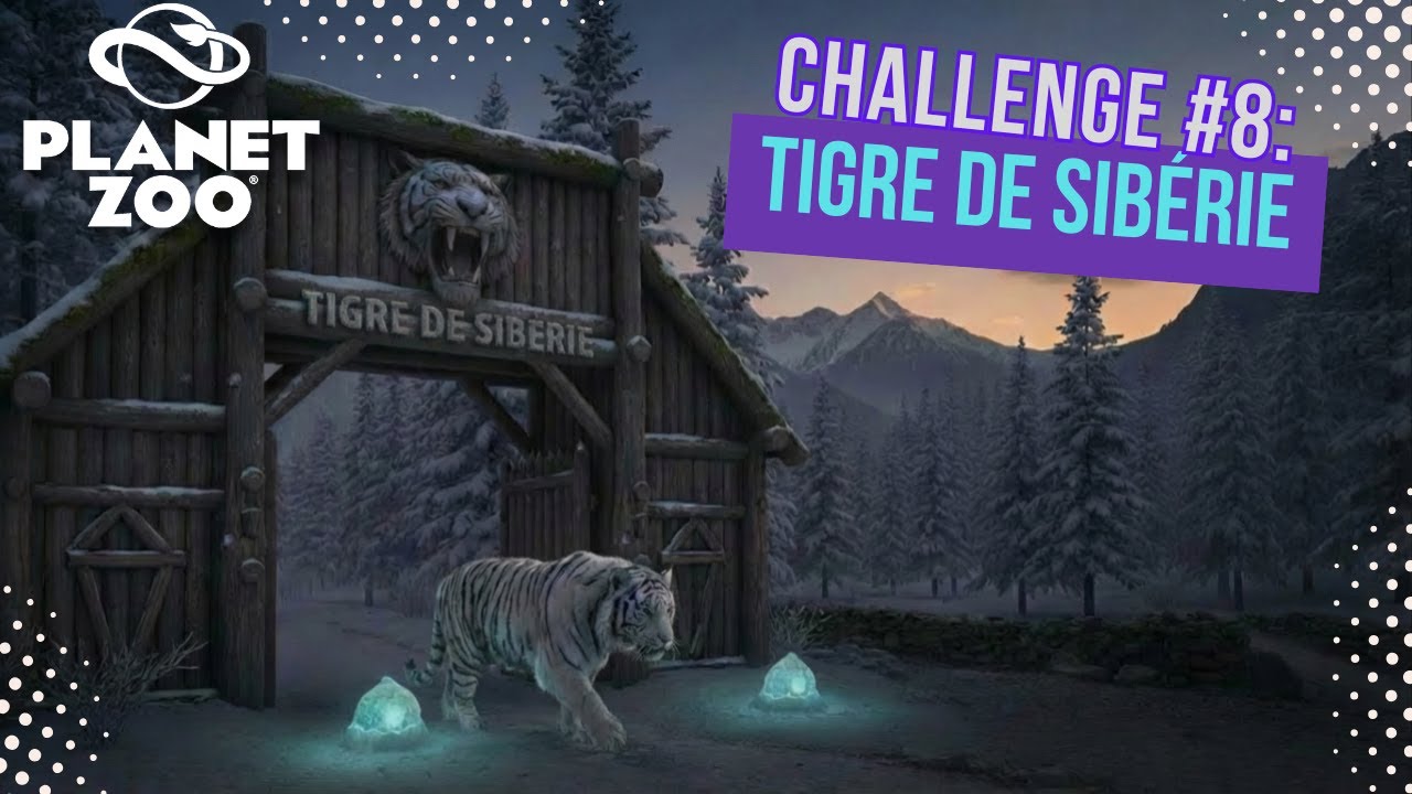 Top 9 zoos de tigres de sibérie que tu dois voir !