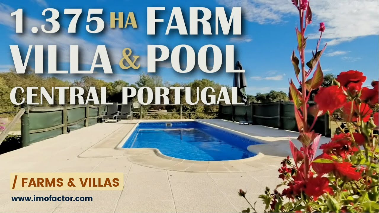 🔆 Fantastic Farm for Sale in Central Portugal with Villa & Pool | €210000