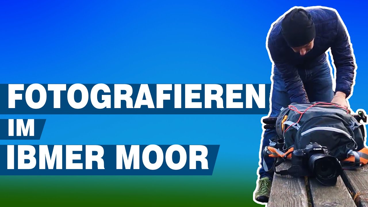 Fr&uuml;h morgens im Ibmer Moor