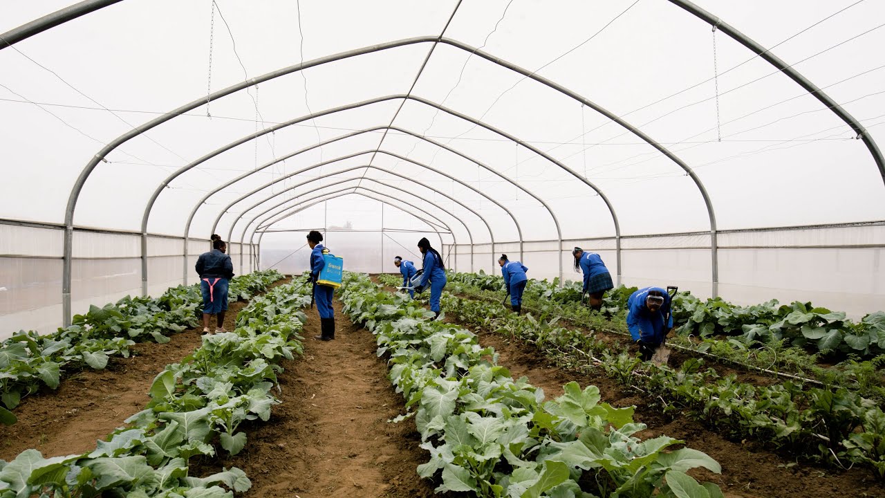 Farming for the future: Shoprite transforms agricultural learning for students