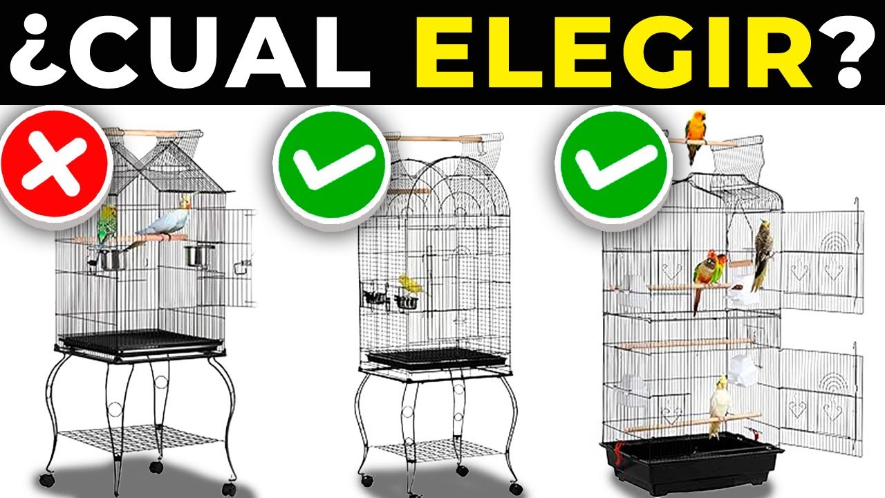 😮 Las 5 MEJORES JAULAS para LOROS 2025 | JAULAS para PÁJAROS y CANARIOS Calidad Precio