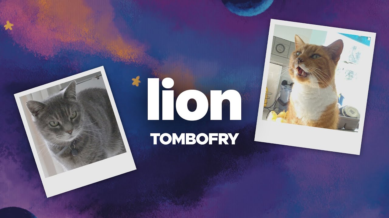 Lion (Official Lyric Video)