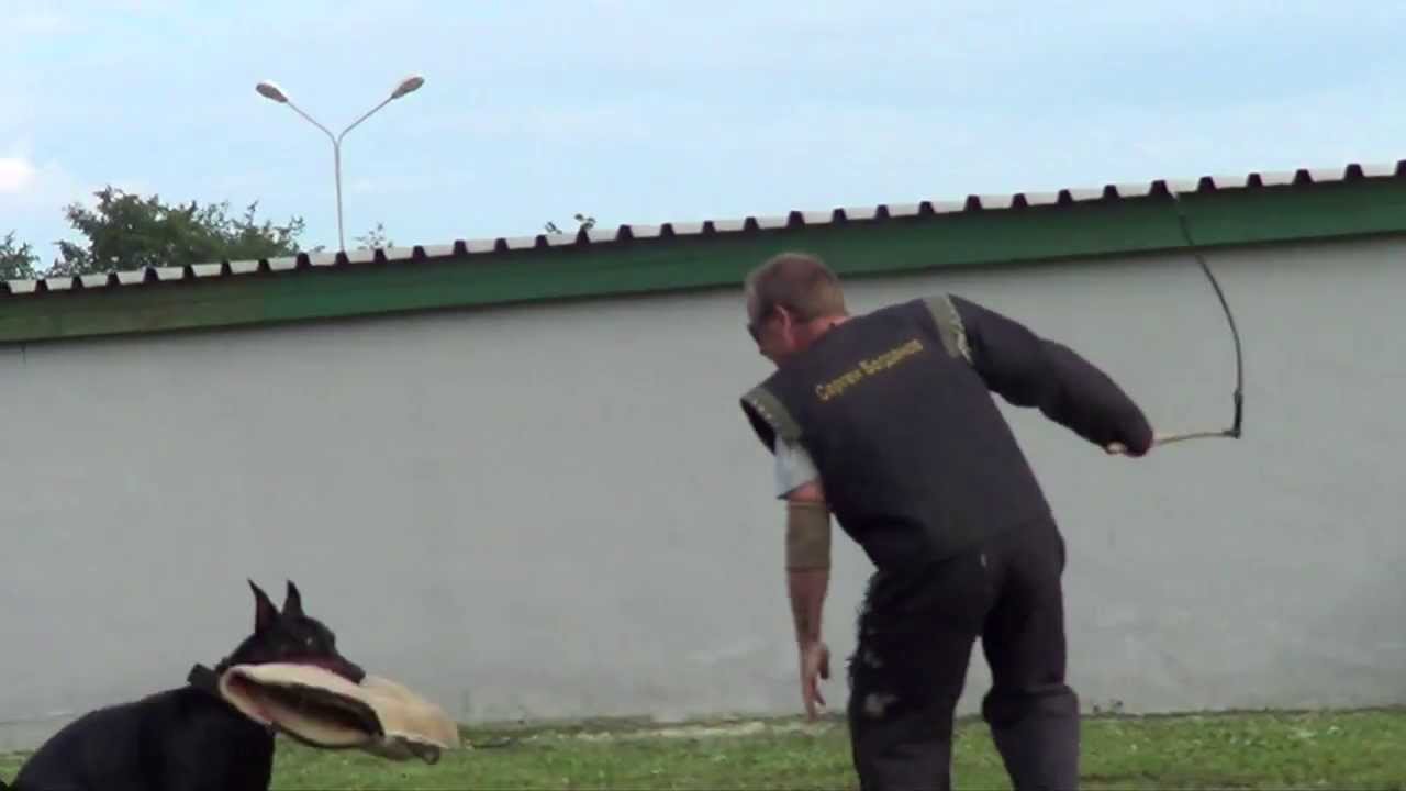 Barkhat on training with Sergey Bogdanov