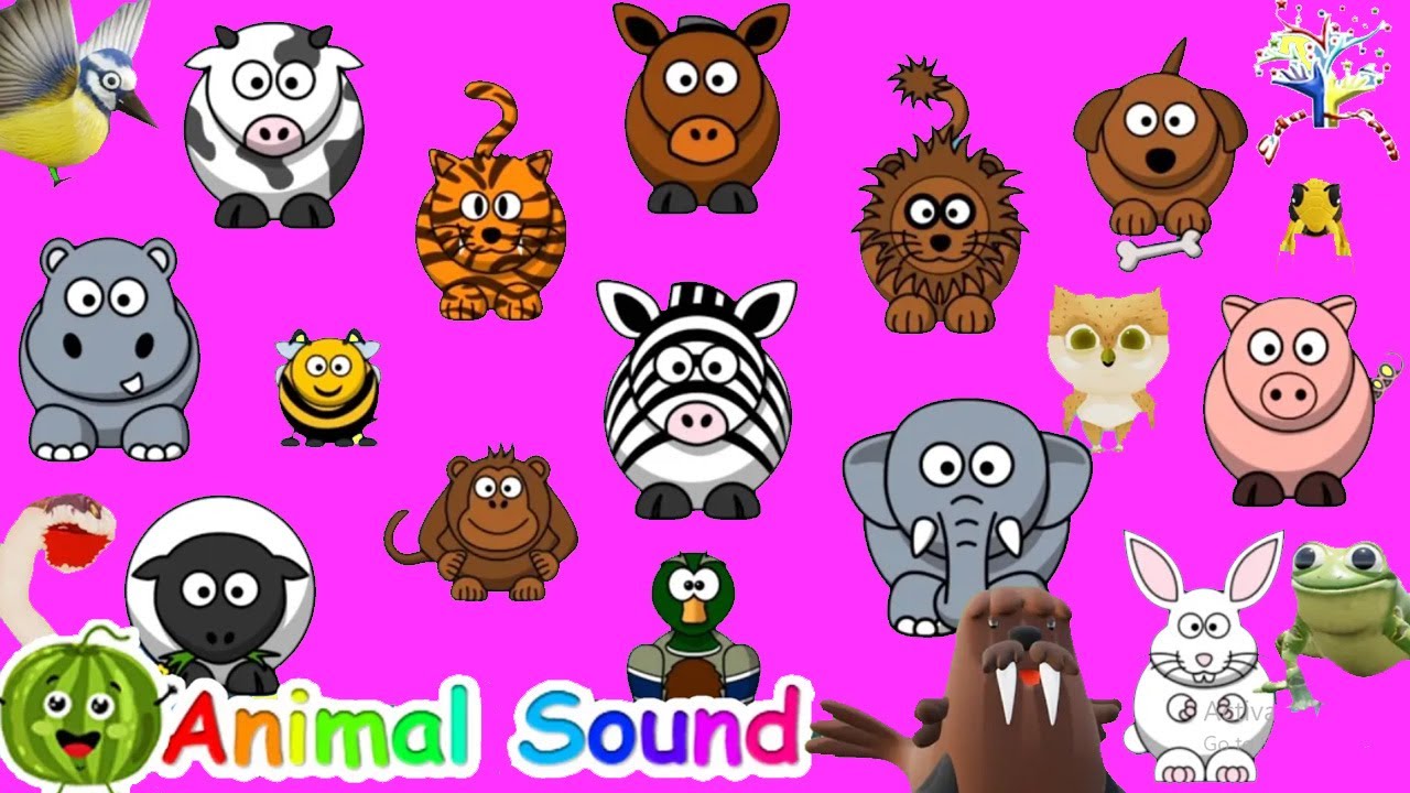 Animal Sound Song + Kids Songs and Nursery Rhymes A1H1 || EduFam ~