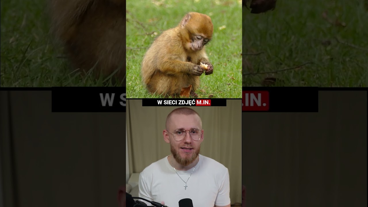 Wziął L4 i poleciał na egzotyczne wakacje&hellip; no i został przyłapany 😮