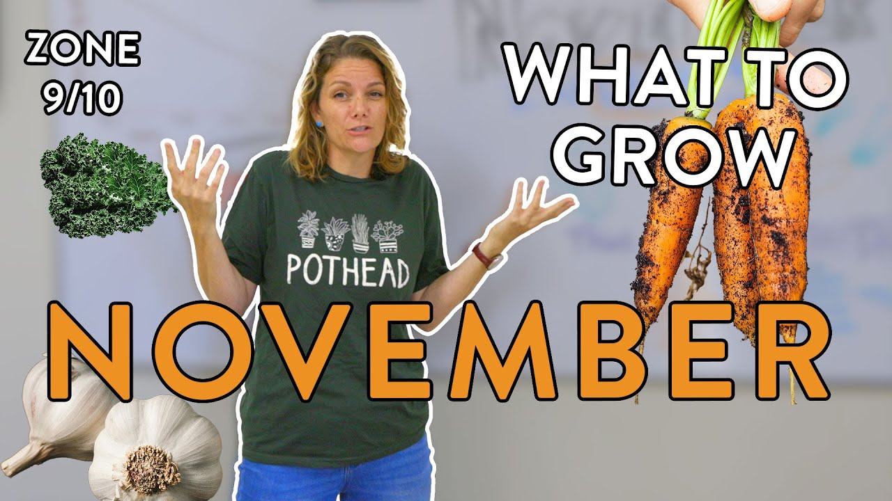 November Planting Guide for Zones 9 & 10 & Explaining The Fall Effect