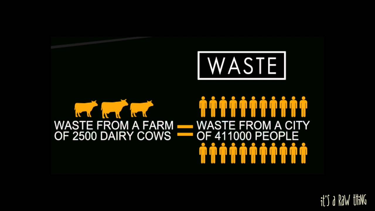 Reason To Be Vegan - Shocking Cowspiracy Facts & Statistics