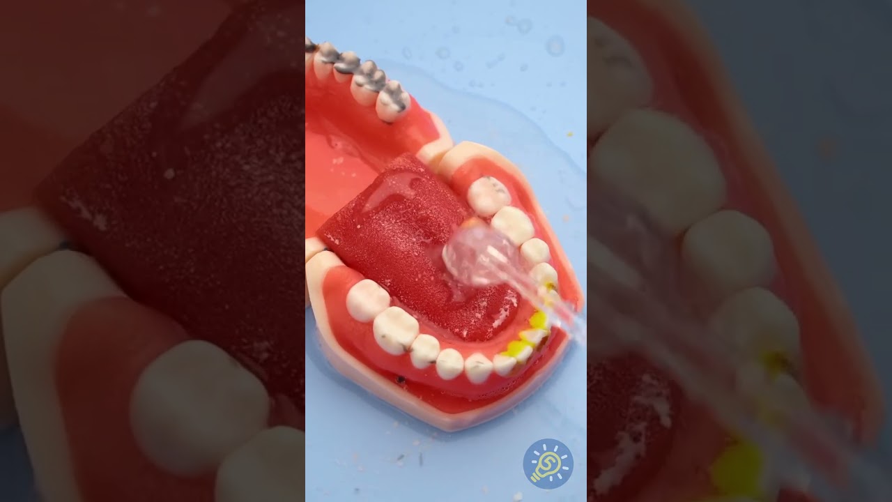 Gute Mundhygiene-Routine 🦷