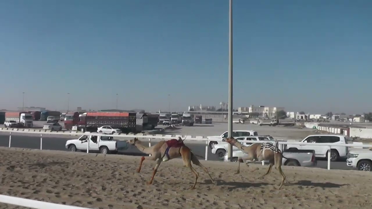 ش15 /الشعبية / صعوب /العالمي /حمد بن صليخ المري /01:53:24