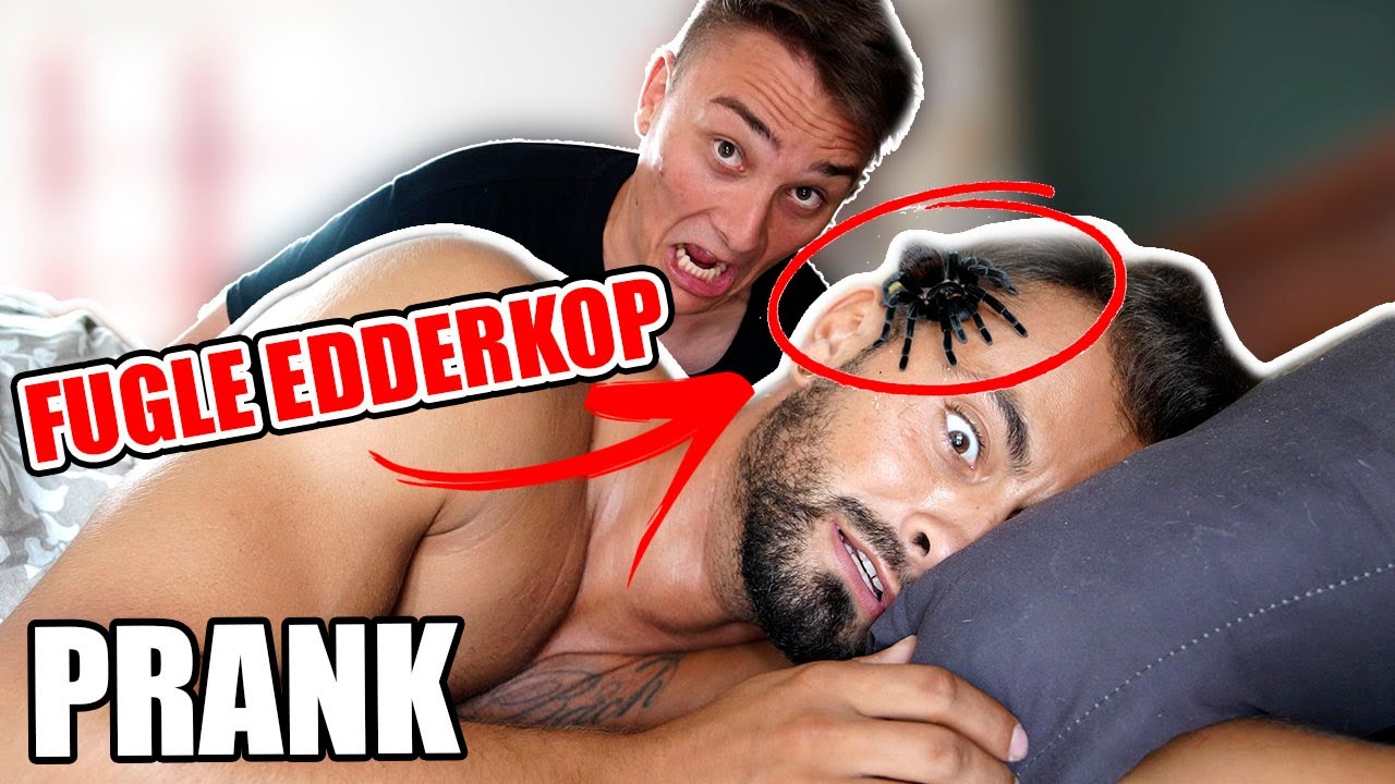 Vækker Ham Med Fugle-Edderkop I Hovedet Prank (Min Ondeste Prank)