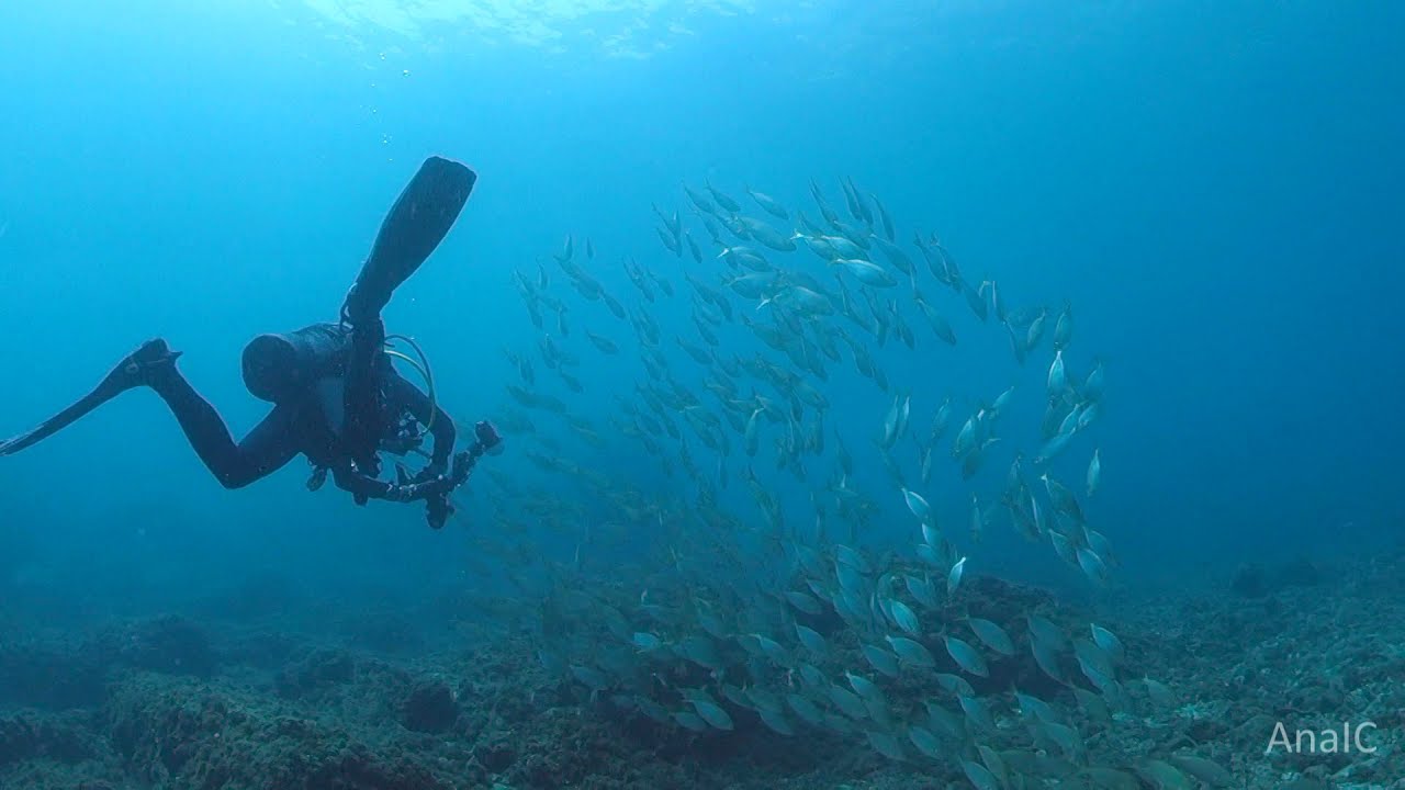 Buceo en La Herradura (Granada).