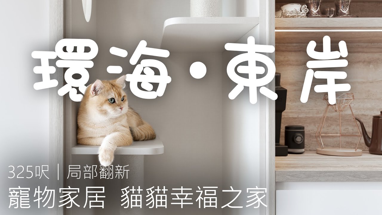 寵物家居設計 貓貓幸福之家｜土瓜灣  環海．東岸｜室內設計案例｜全屋翻新｜Easy Creation World